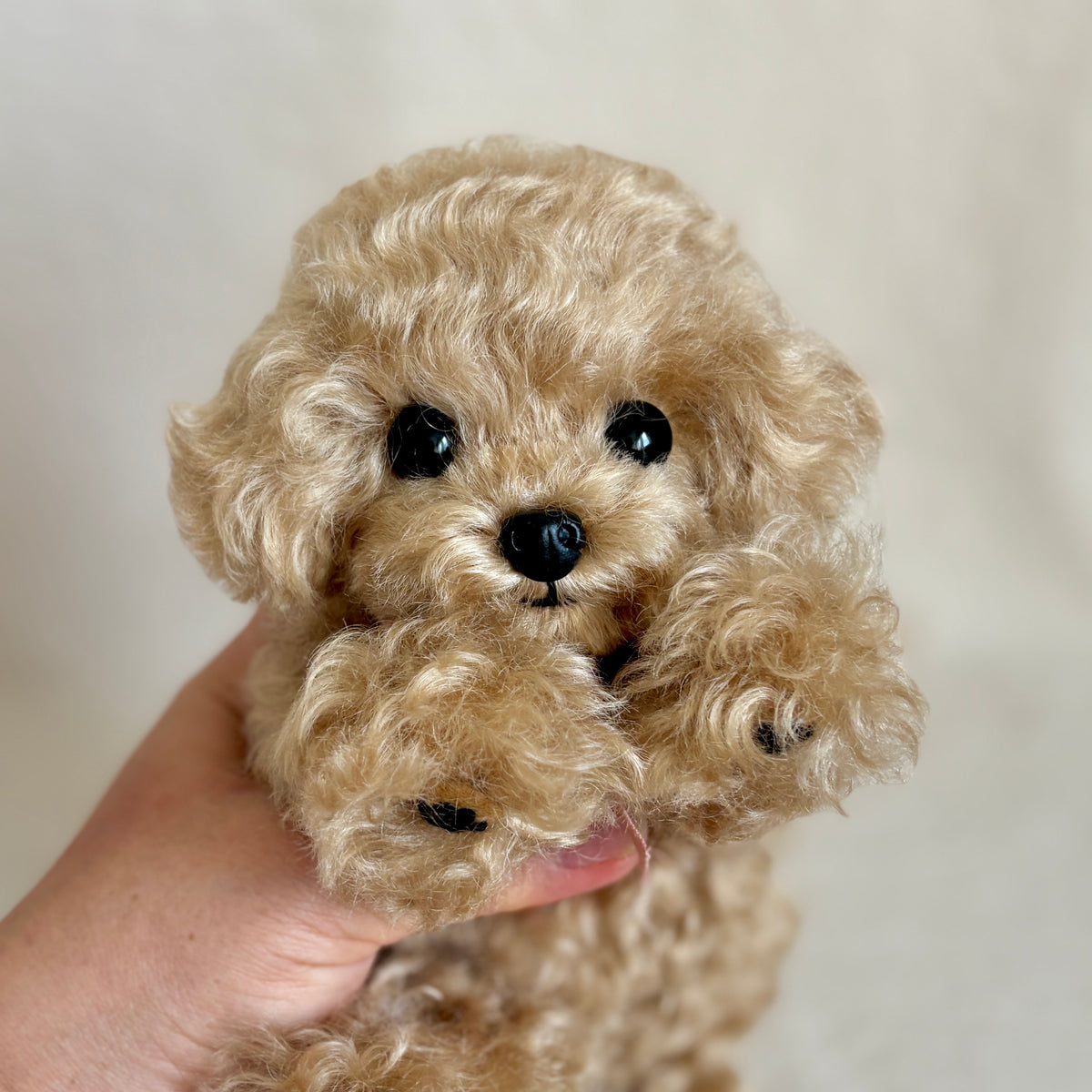 テディプードル21cm