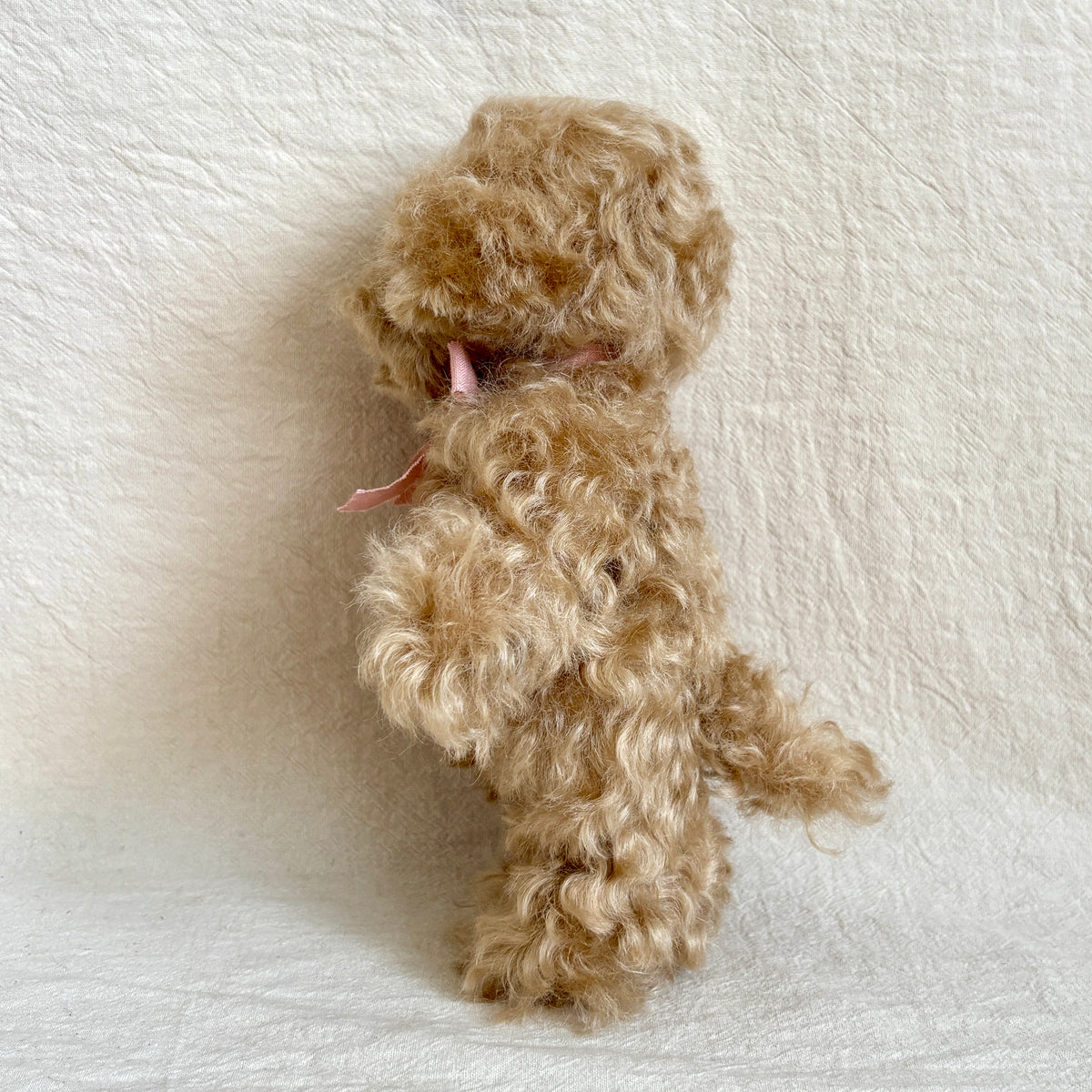 テディプードル21cm