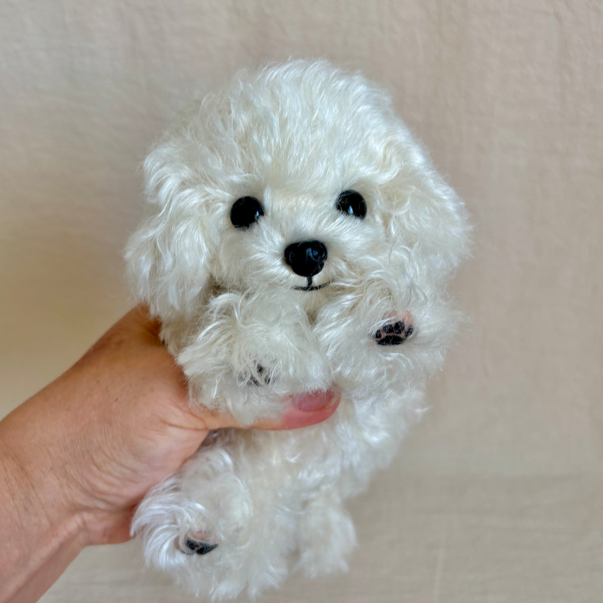 テディプードル21cm