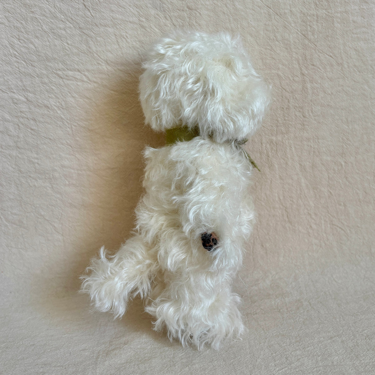 テディプードル21cm