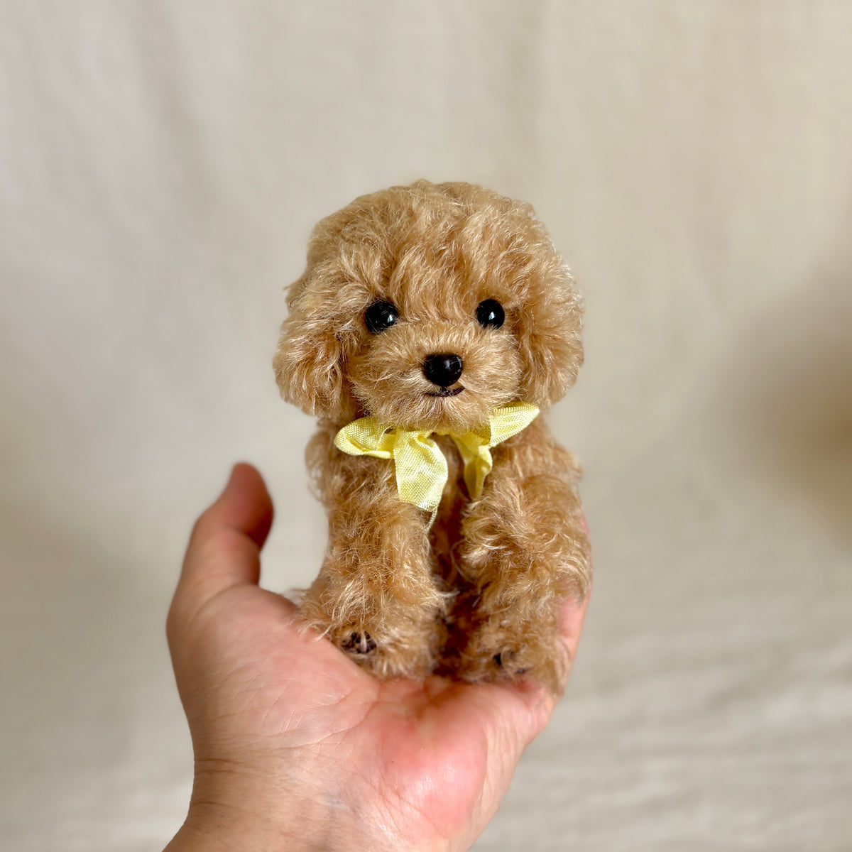 テディプードル15cm