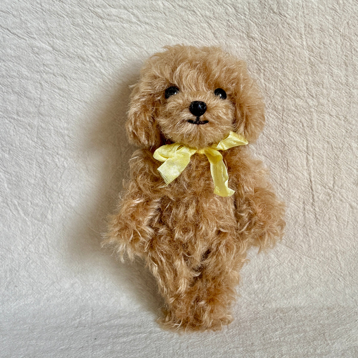 テディプードル15cm