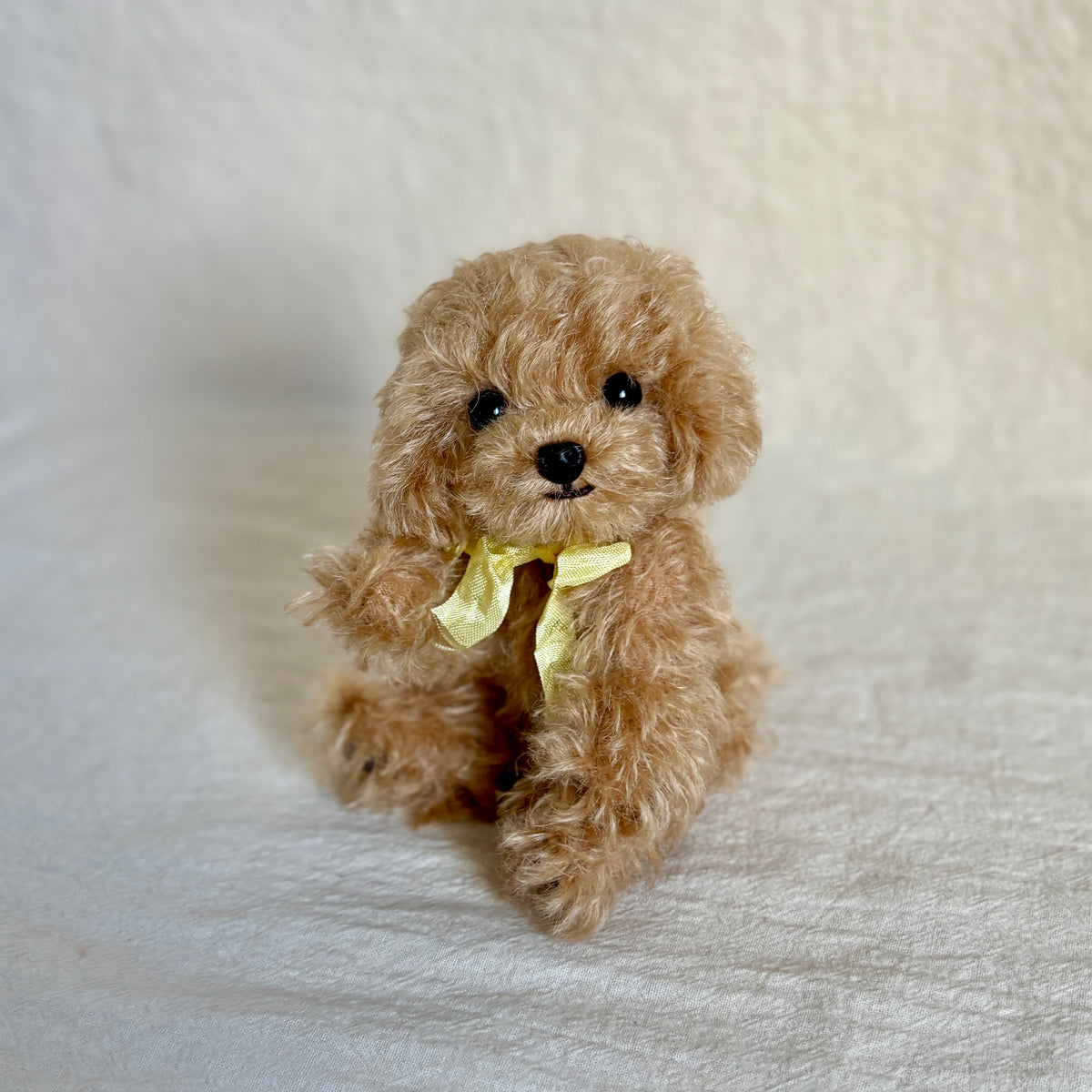 テディプードル15cm